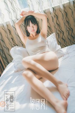 乡村小说